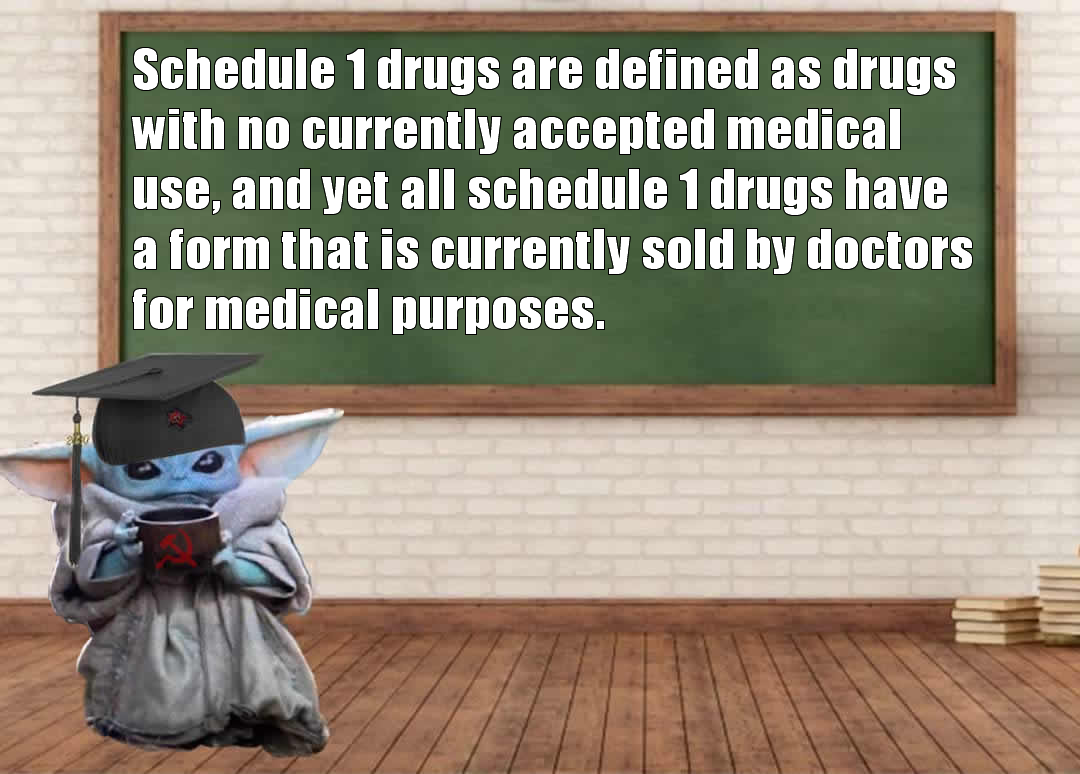 This meme features a cartoon character, likely a parody of a child or student, sitting at a desk with a book and a cup of coffee. The text on the image reads: "Schedule 1 drugs are defined as having no accepted medical use, and yet all Schedule 1 drugs have a form that is currently sold by doctors for medical purposes." The image is likely humorous and satirical, poking fun at the contradictions in the medical industry.